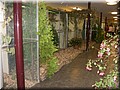 IMG_3680.jpg