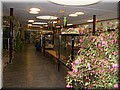 IMG_3682.jpg