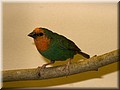 IMG_3693.jpg