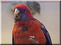 _MG_6812.jpg