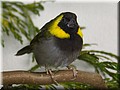 _MG_6852.jpg