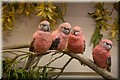 bourke_6810.jpg