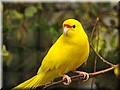DSC_1866.jpg
